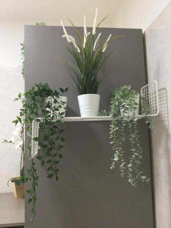 דירות אורטונה Il Ponticello מראה חיצוני תמונה